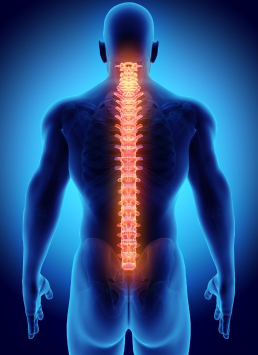 Chiropractic Treatment